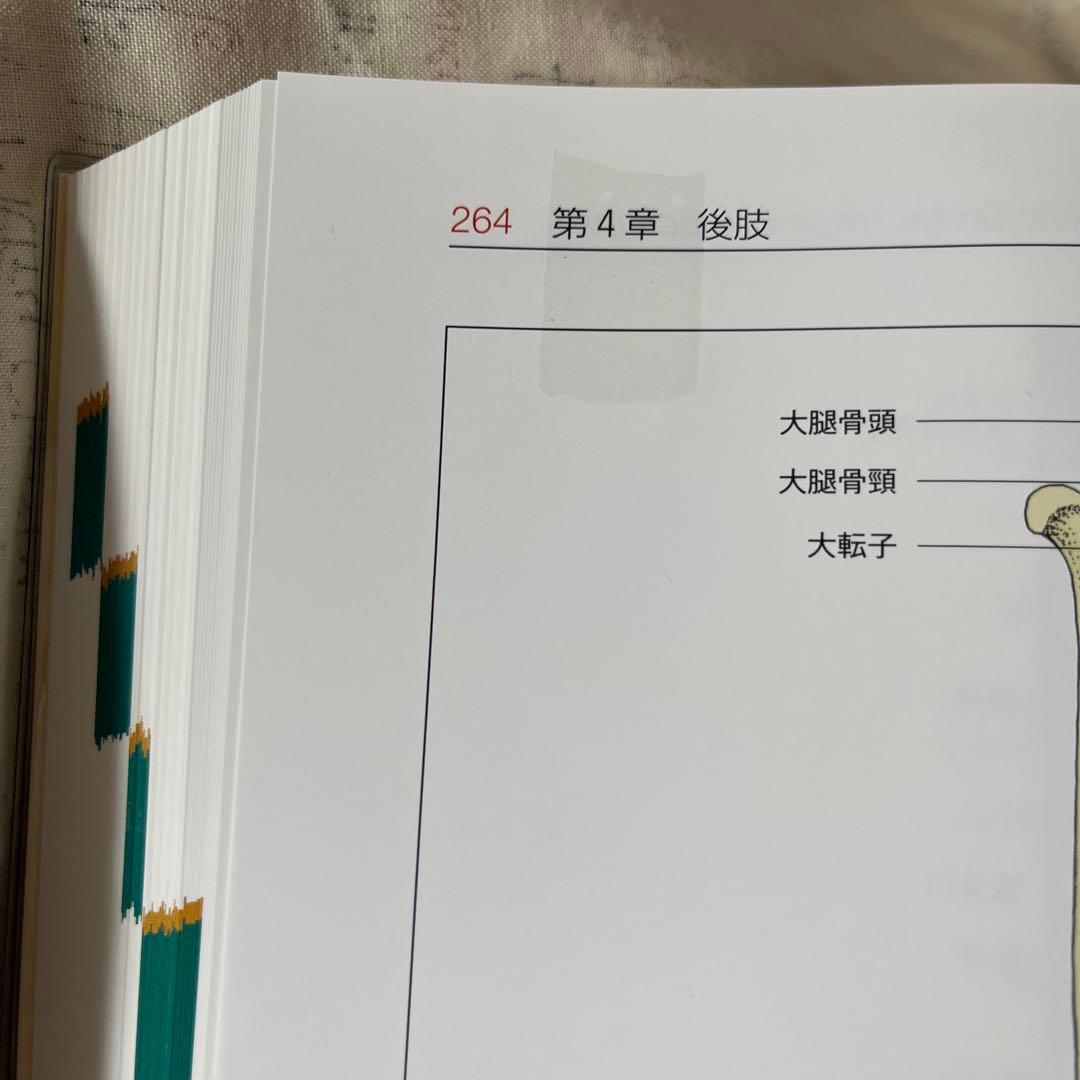 獣医解剖学 増補改訂第2版 上巻