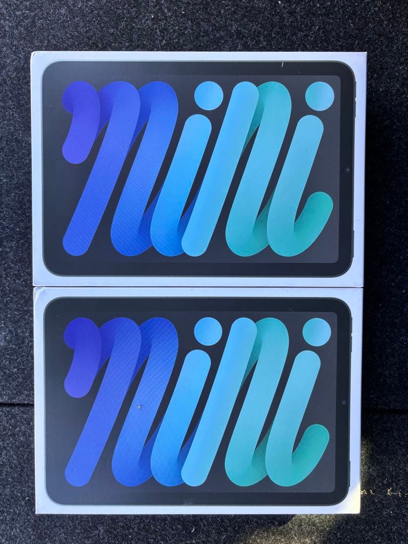 Apple iPad mini(A17 Pro) 2台セット