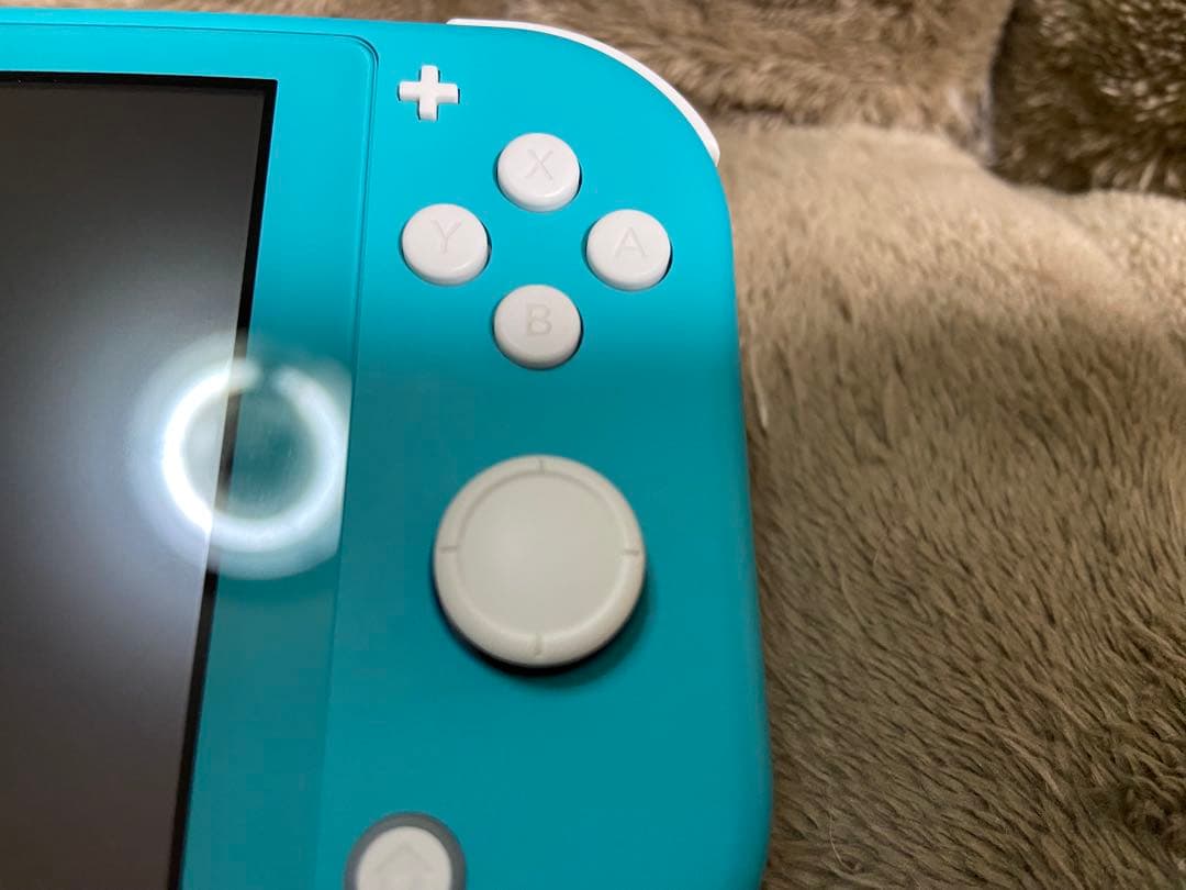 Nintendo Switch Lite ターコイズ 本体　ケース付き