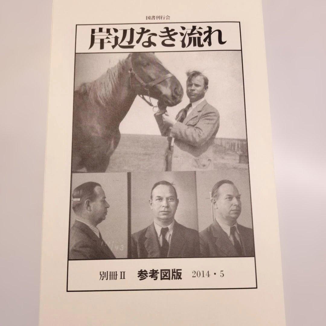 岸辺なき流れ 上下 ハンス・ヘニー・ヤーン 国書刊行会