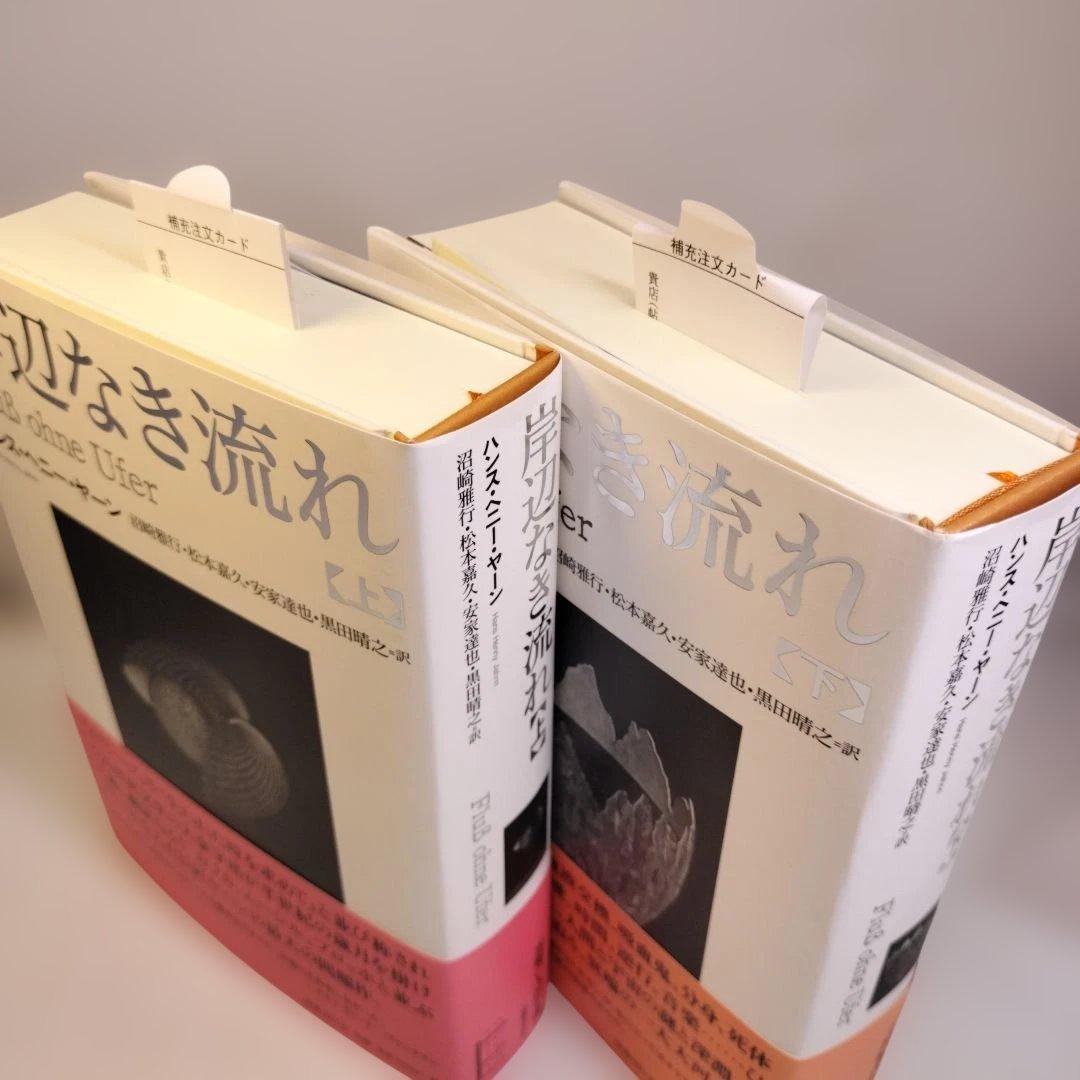 岸辺なき流れ 上下 ハンス・ヘニー・ヤーン 国書刊行会