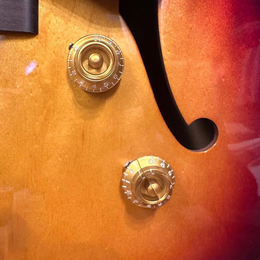 ギター Archtop Tribute AT105 / Late '50s Burst