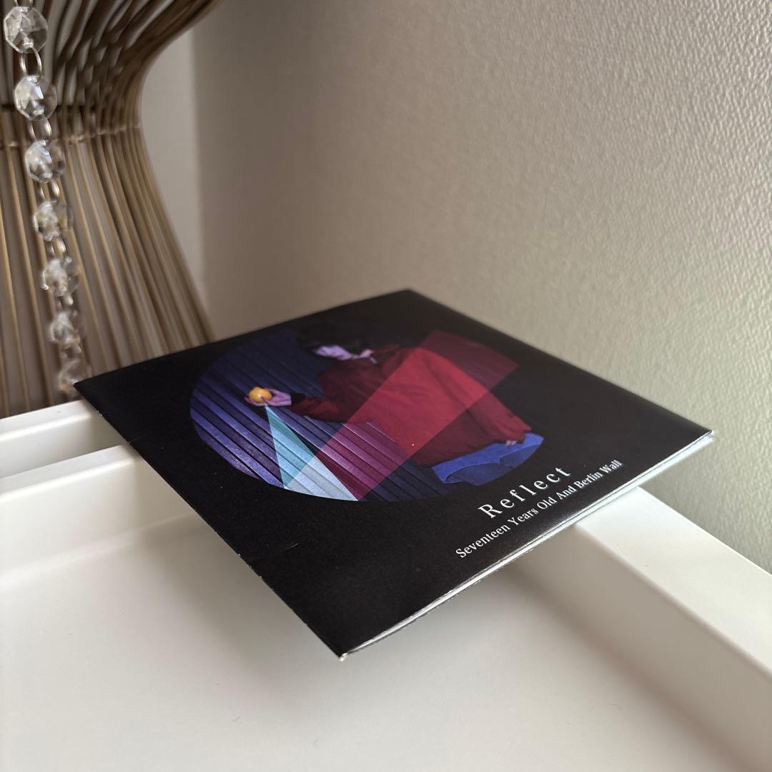 17歳とベルリンの壁　「Reflect 」