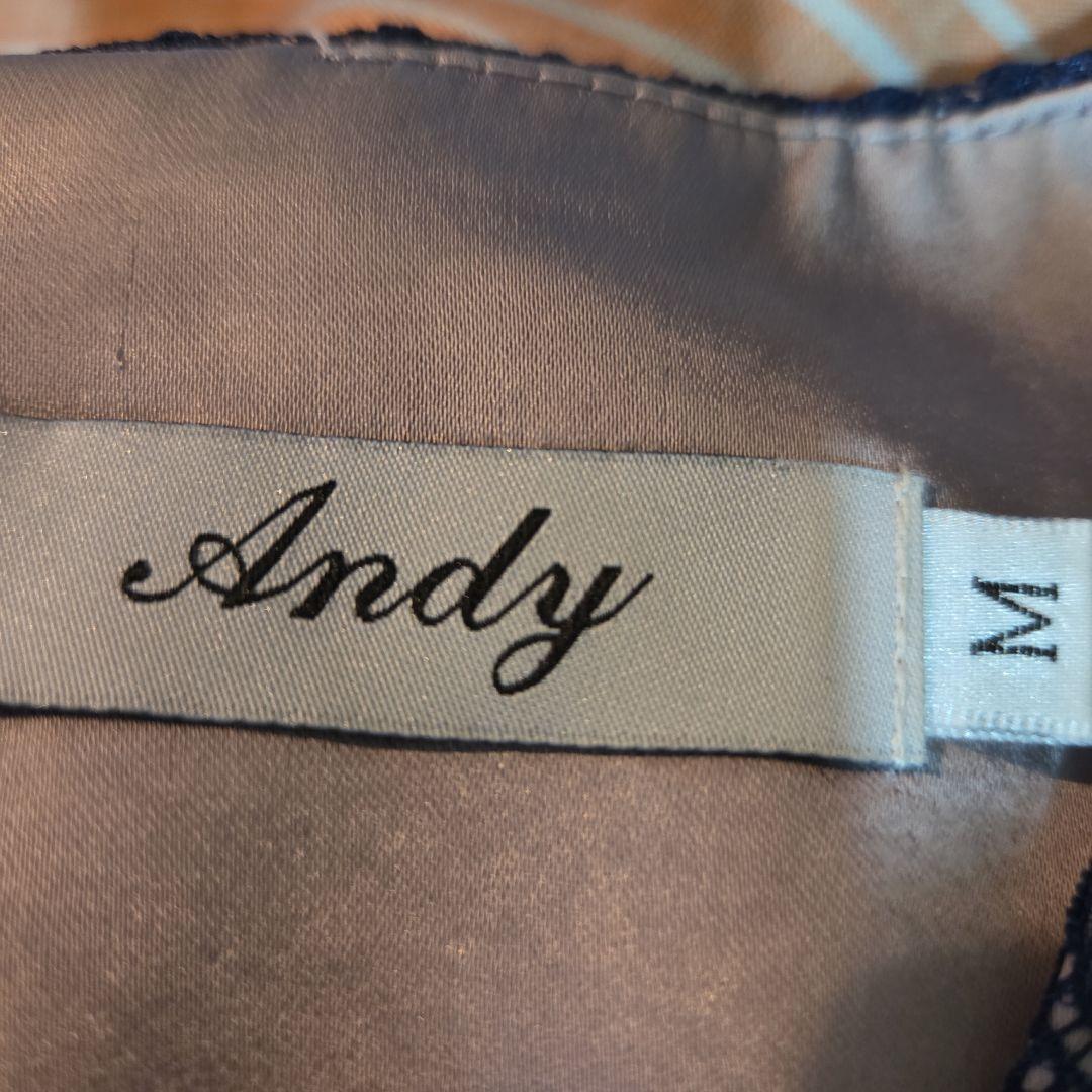 Andy,プレミアムコレクション ネイビーレースドレス Mサイズ