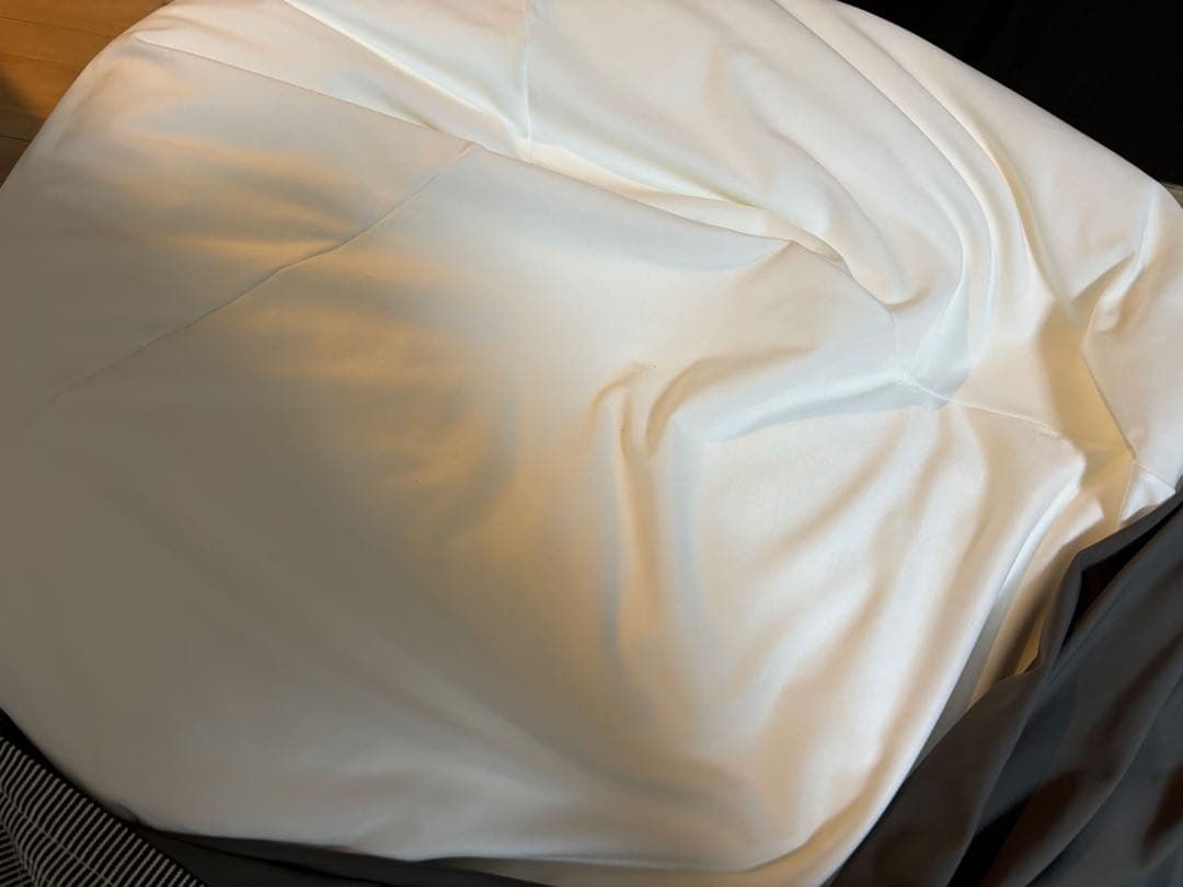 無印良品 体にフィットするソファ (大) 人をダメにするソファ 本体 カバー付き