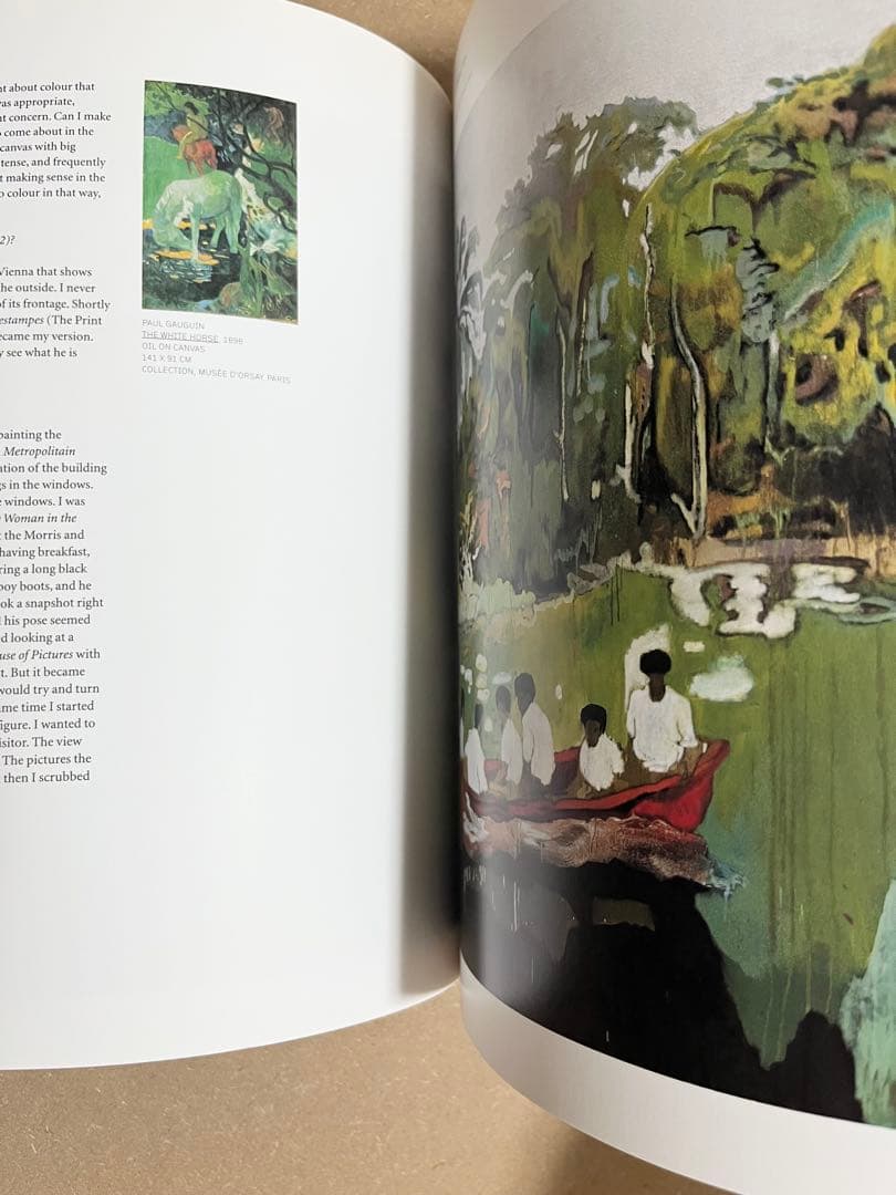 PETER DOIG ピーター・ドイグ/PHAIDON