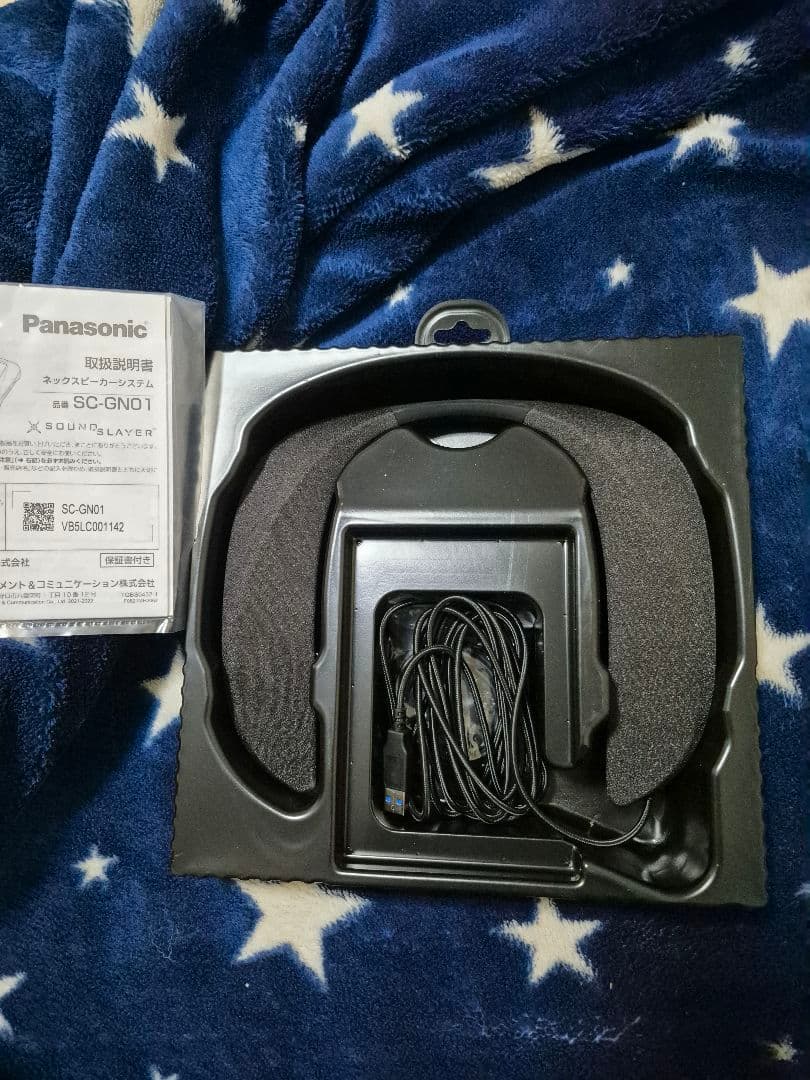 Panasonic SC-GN01 ネックスピーカー　有線タイプ