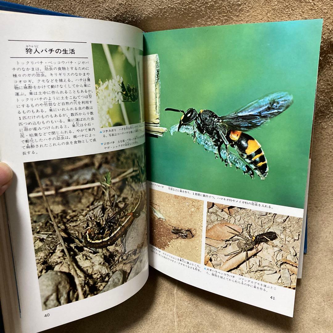 学研 昆虫III