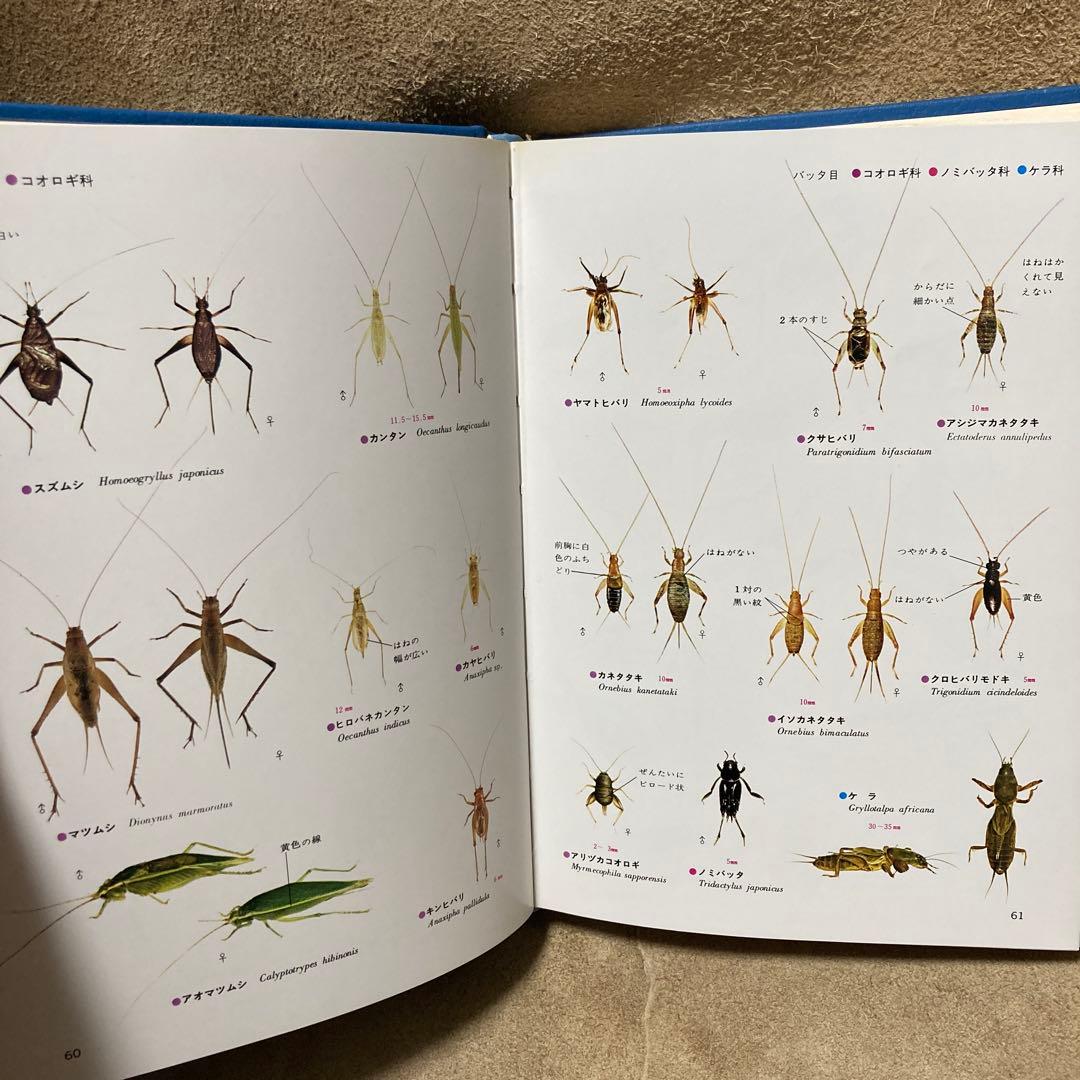 学研 昆虫III