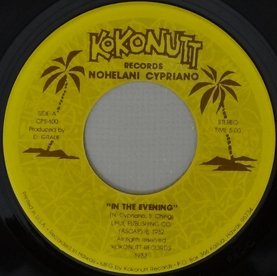 洋楽 In The Evening / U / Nohelani Cypriano