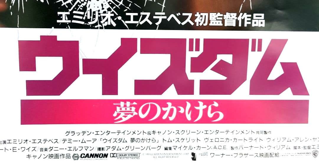 映画『ウイズダム 夢のかけら』ポスター ＜劇場公開 販促宣伝告知用 非売品＞