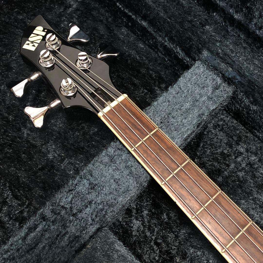 ESP the GazettE REITA RF BASS ガゼット