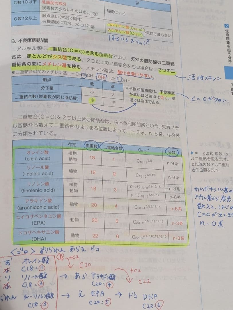 コアカリ重点ポイント集 　薬学部　改訂第9版　ゾーン1、ゾーン2　書き込みあり
