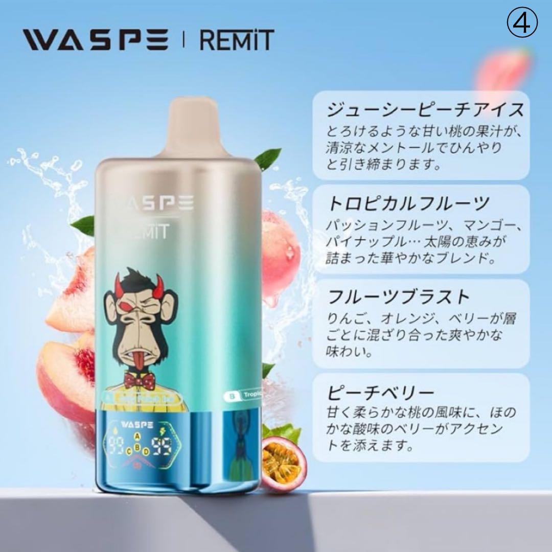 もん太様用　WESPE10万④