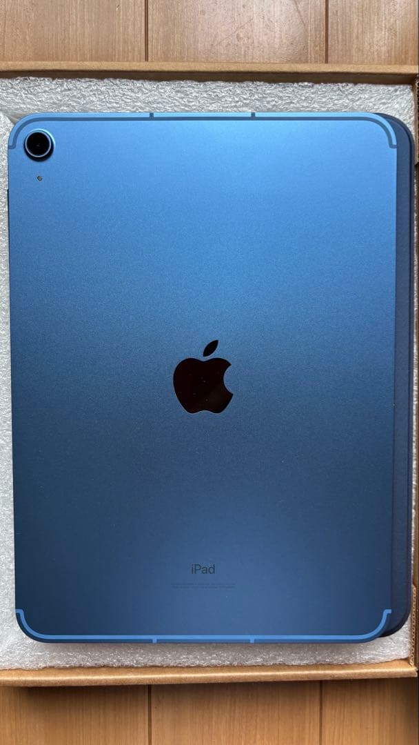 Apple iPad 本体 ブルー 充電器付き