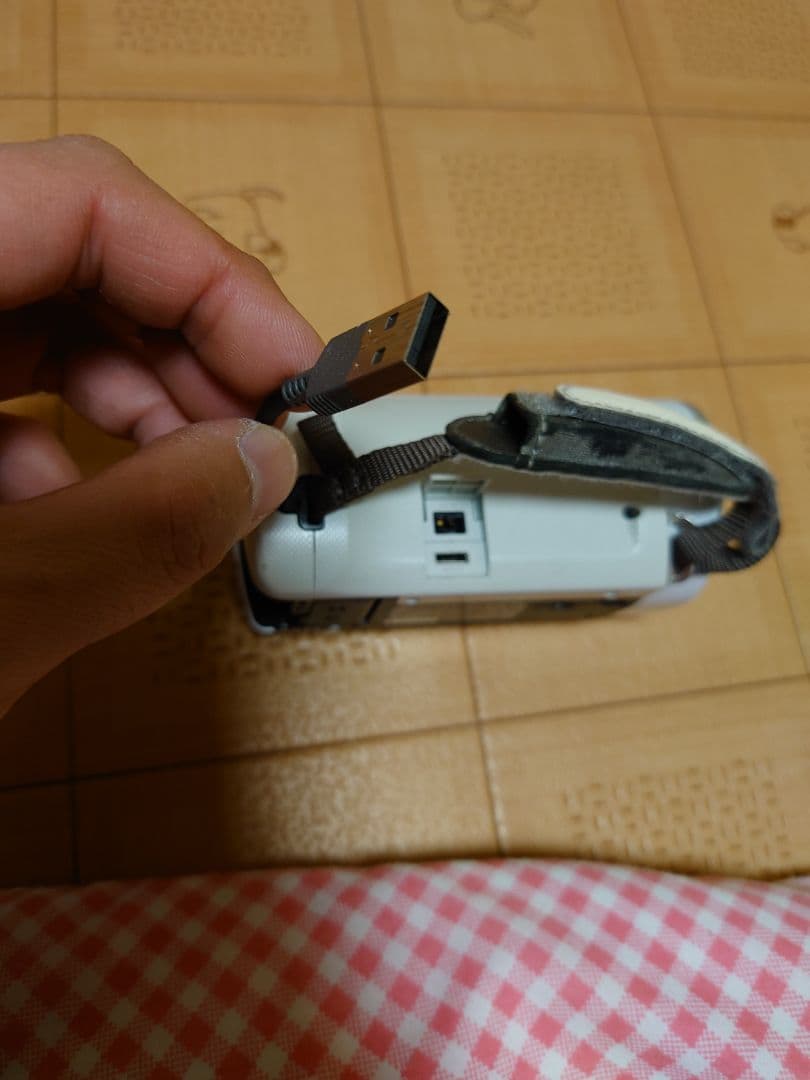 t*e様 ★ソニー　SONY　HDR-CX390　バッテリー2個★