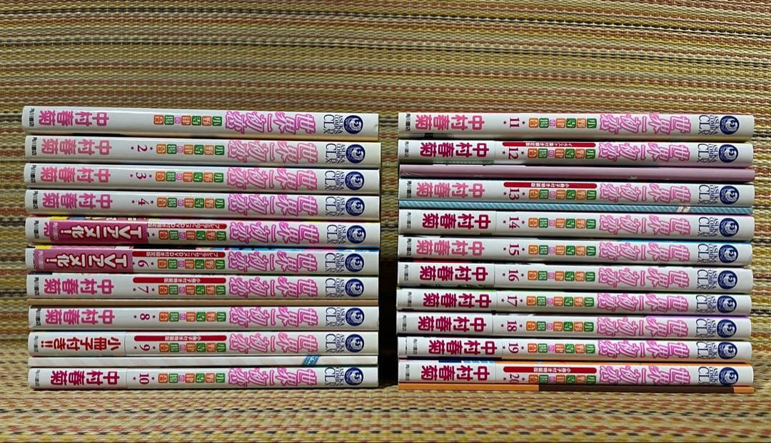 世界一初恋 小野寺律の場合 中村春菊 DVD 小冊子