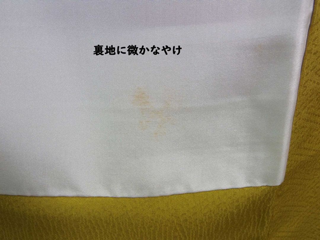 振袖 赤×黒 花文様 グラデーション パールトーン加工 モダン 成人式 晴れ着