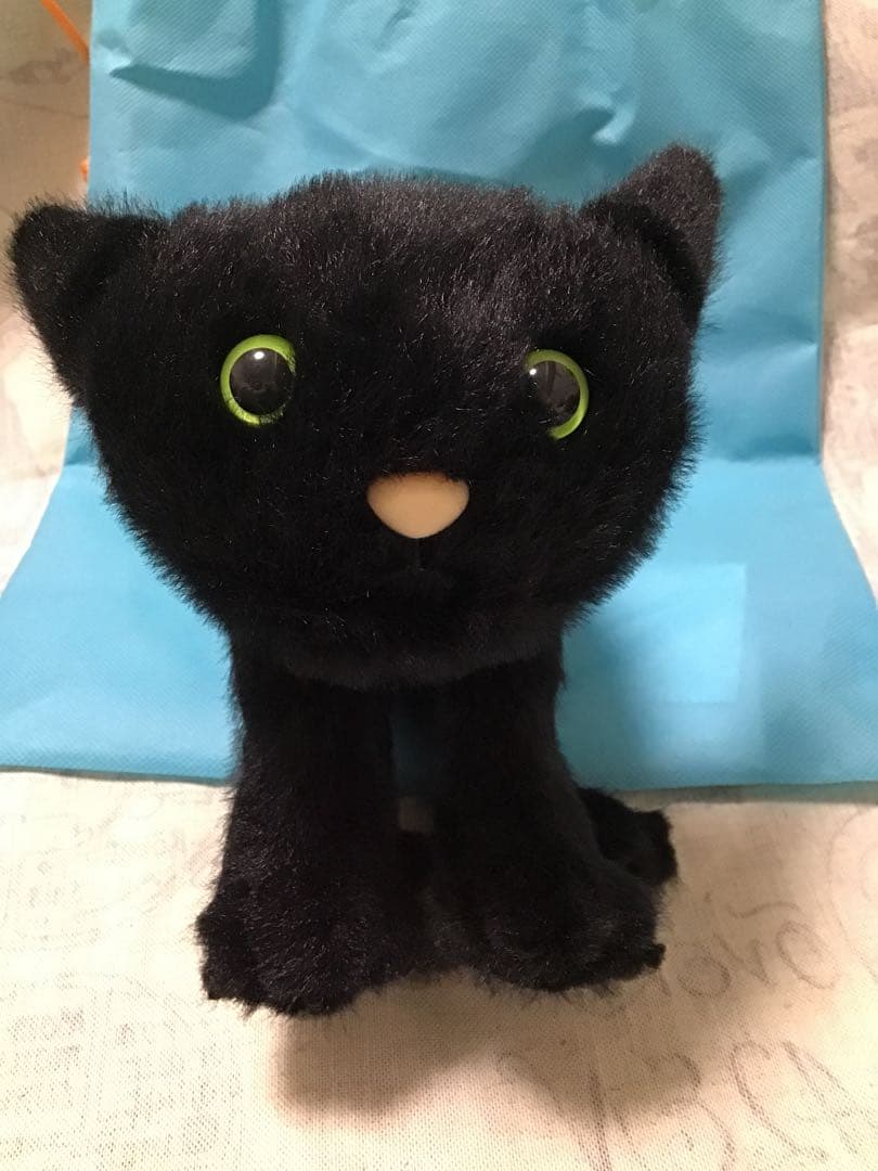  ジェリーキャット cat 猫 黒猫 くろねこ