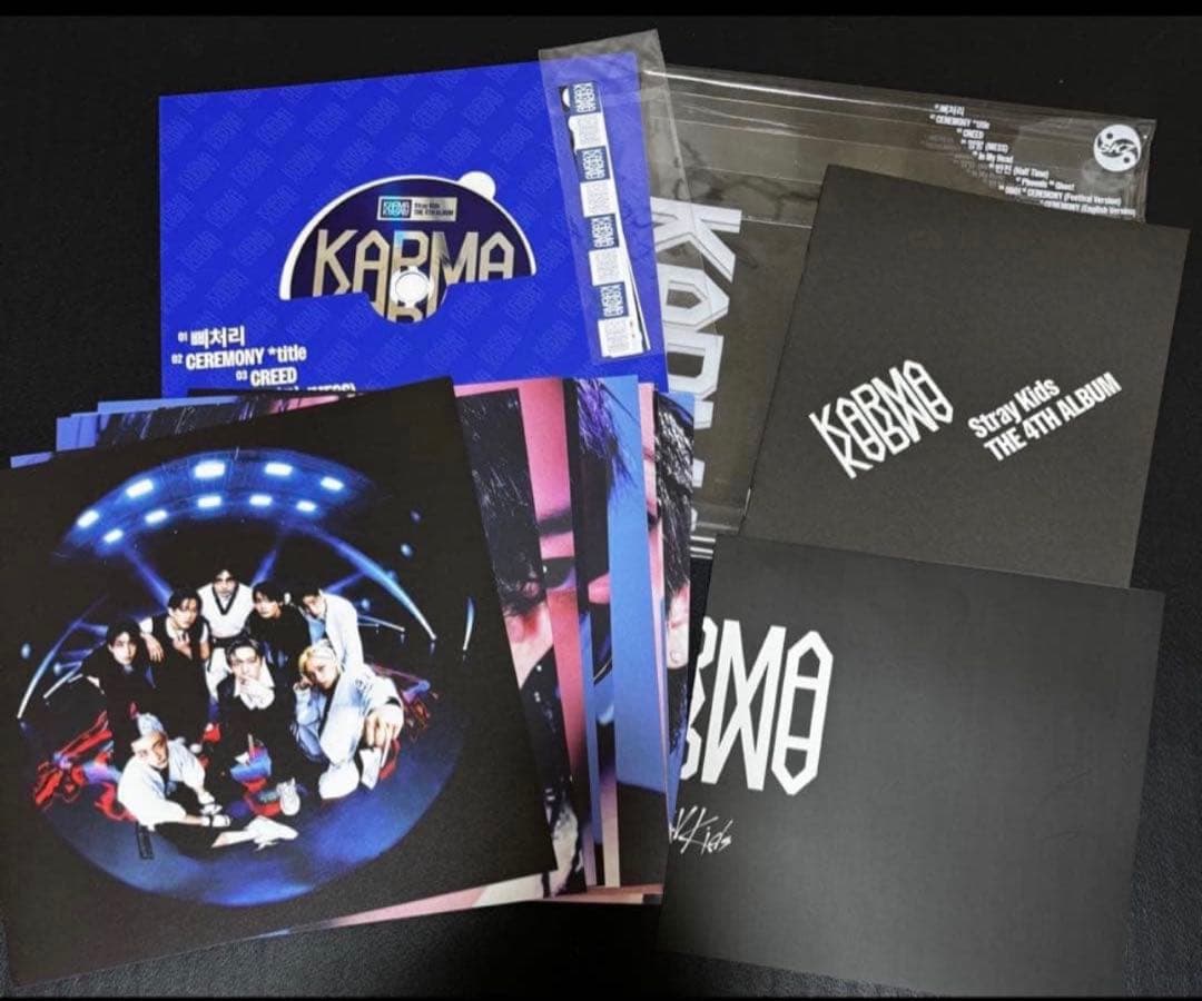 straykids アルバム CD DVD 限定盤 IN生 GO生 55冊セット