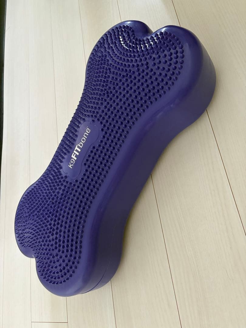 FitPAWS® K9 FITbone CanineGym® ドッグバランス