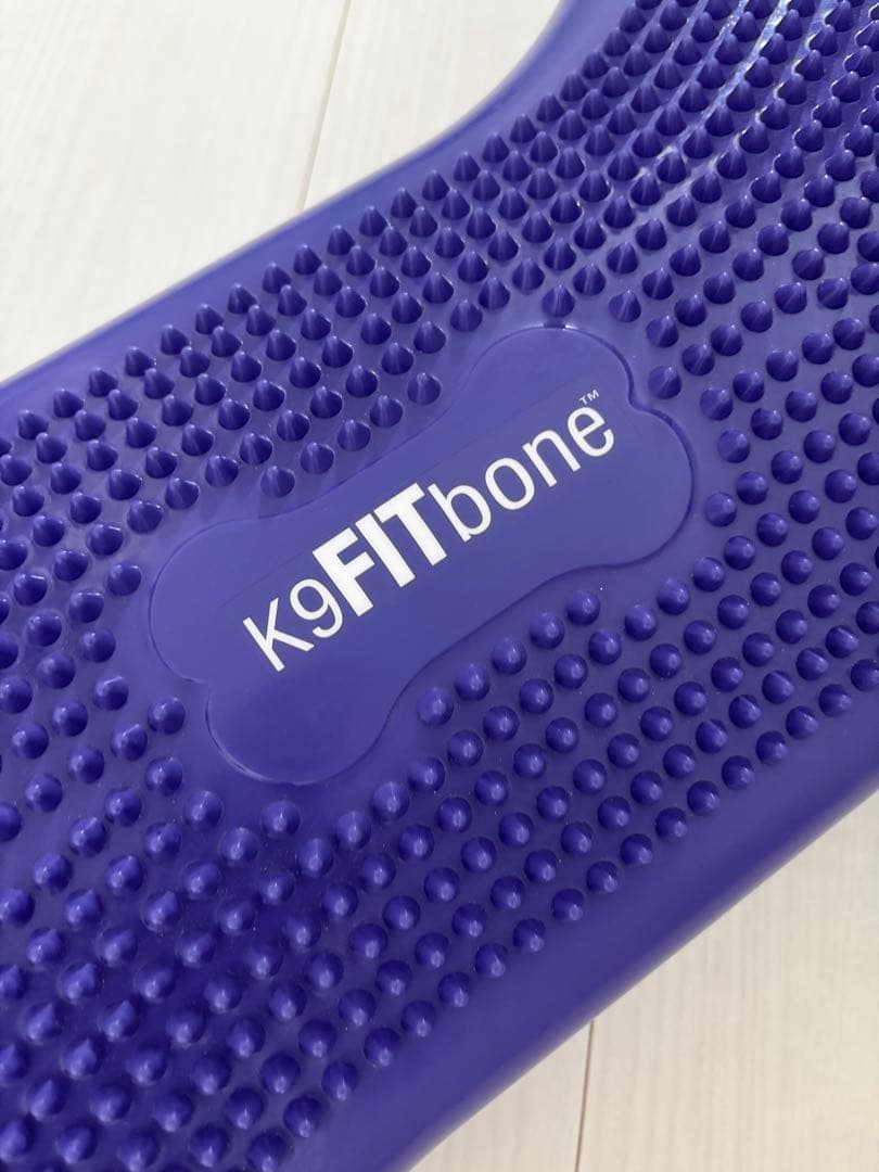 FitPAWS® K9 FITbone CanineGym® ドッグバランス