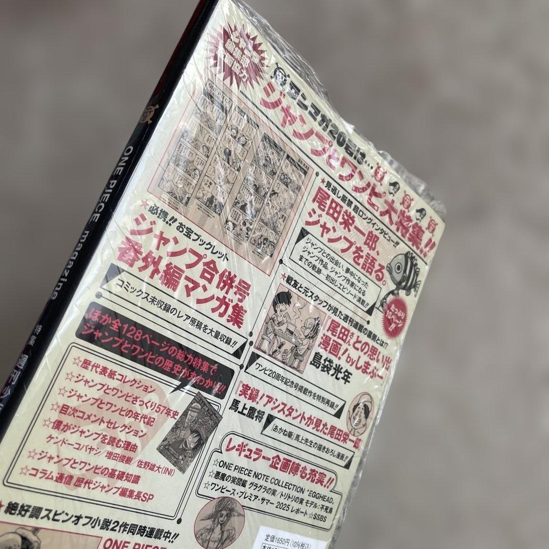 【ビニール付き】ONE PIECE magazine 20 ルフィ　プロモ②