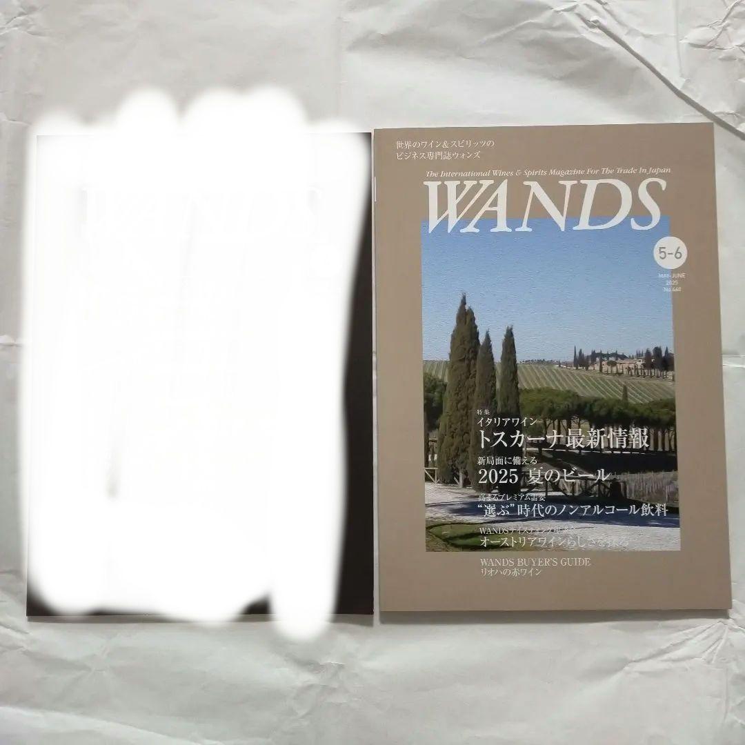 【新品未読誌】WANDS 特別号を含む 2冊セット