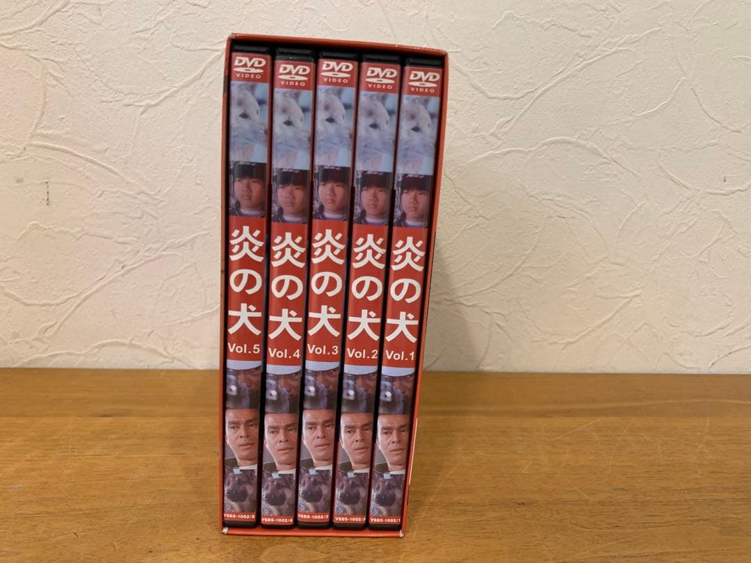 N0311-03★炎の犬 DVD BOX 5巻セット 三ツ矢歌子 松田洋治