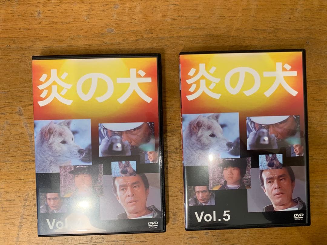 N0311-03★炎の犬 DVD BOX 5巻セット 三ツ矢歌子 松田洋治