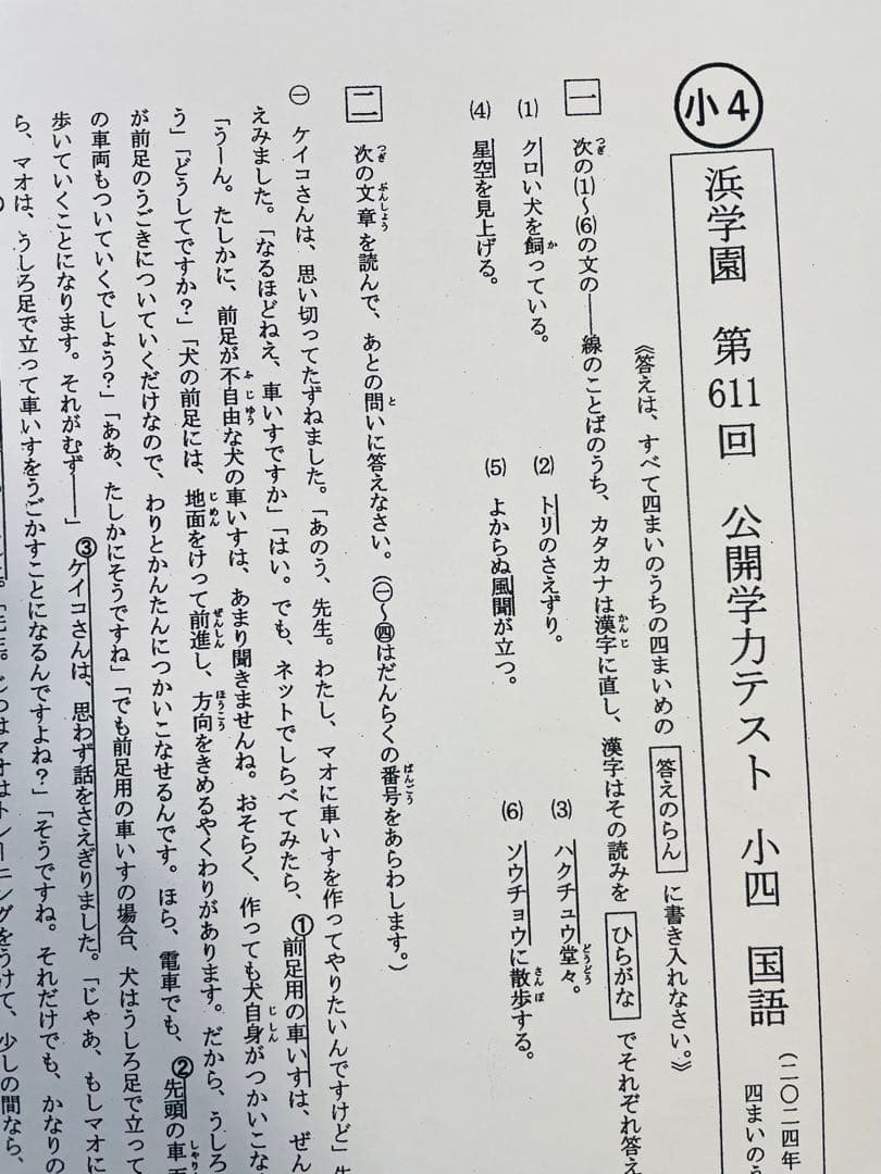 たぬき