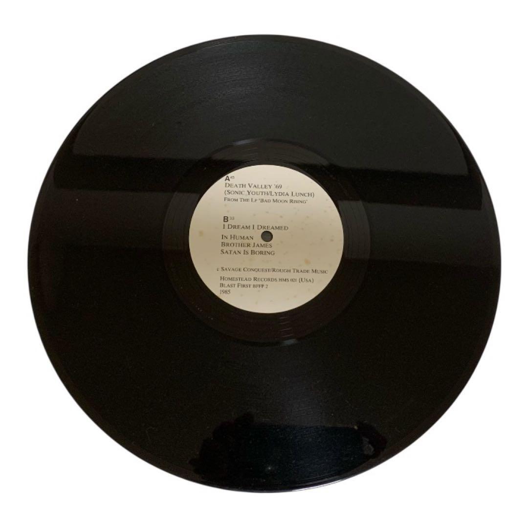 洋楽 Sonic Youth - Death Valley '69 '12EP