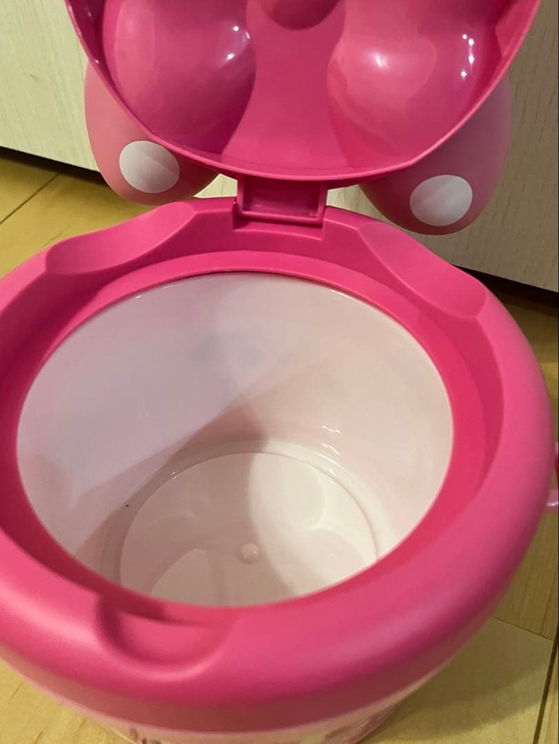 ディズニーランド　ミニー パルパルーザ ポップコーンバケット