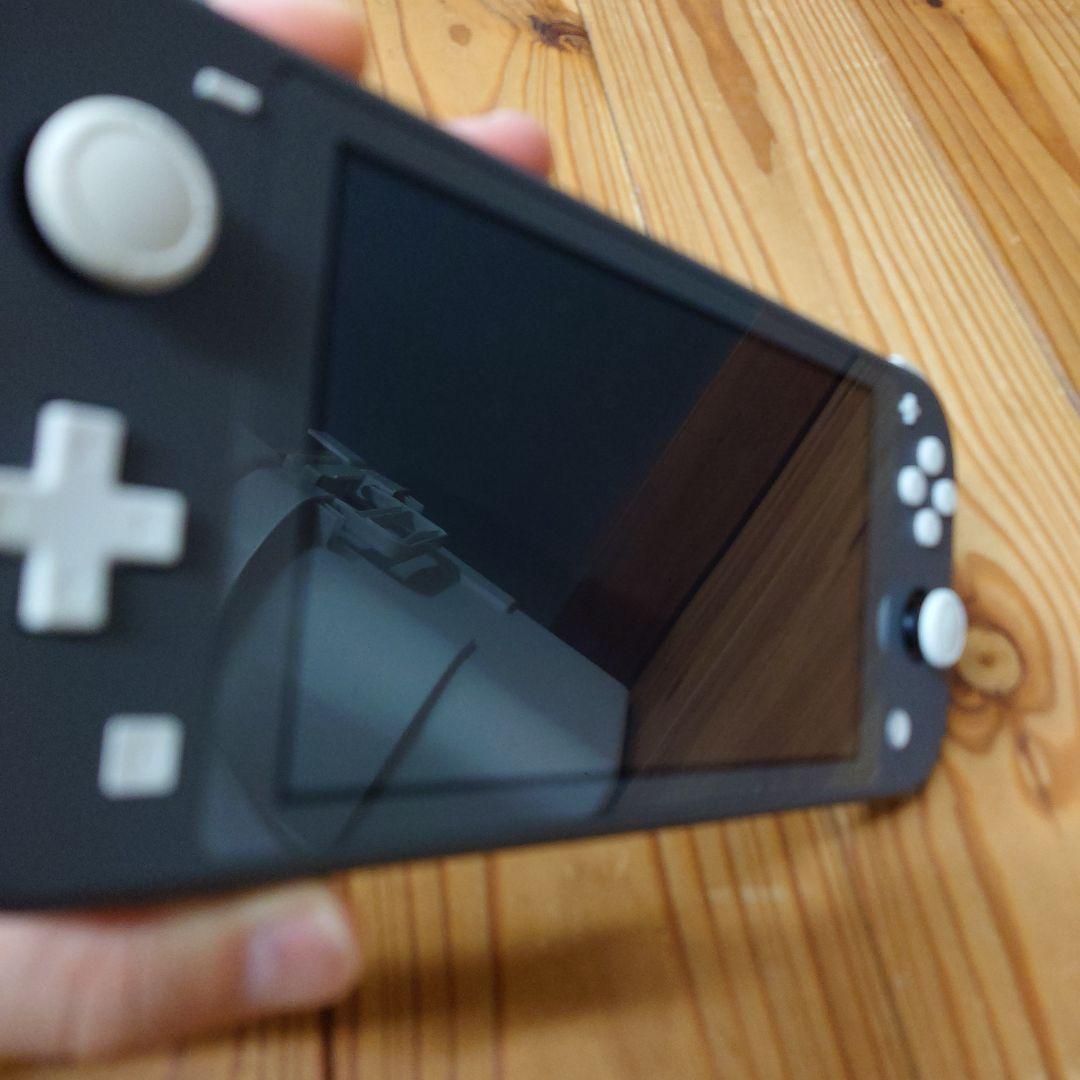 Nintendo Switch Lite グレー本体 + ケース2個　箱説明書