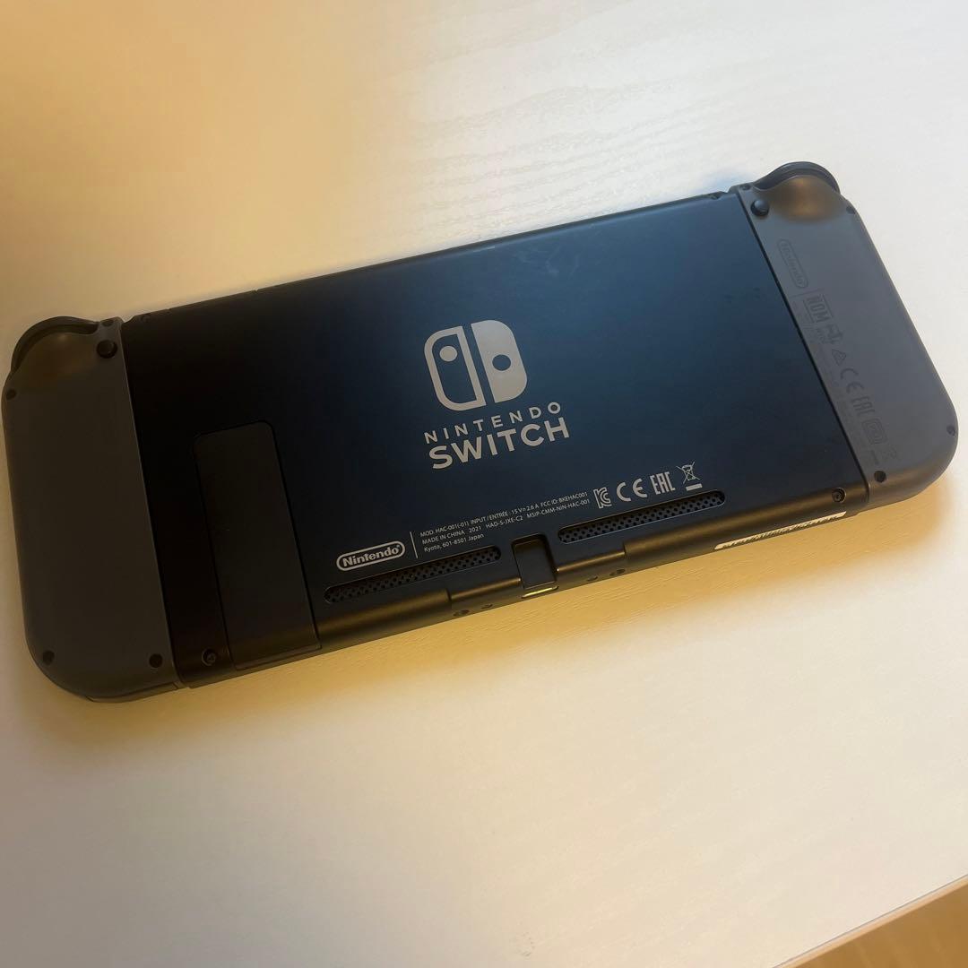 Nintendo Switch グレー 本体+ドッグ＋充電機