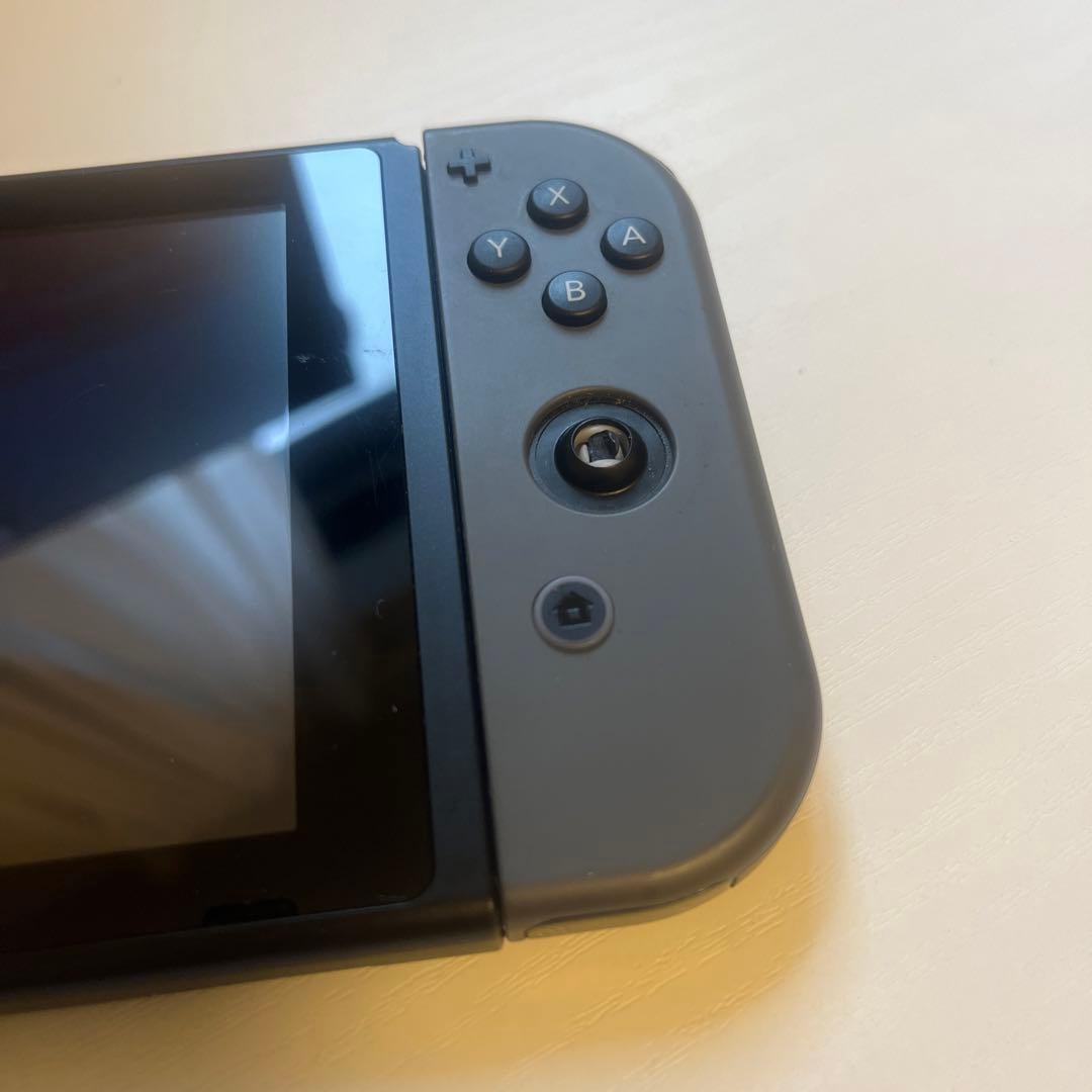 Nintendo Switch グレー 本体+ドッグ＋充電機