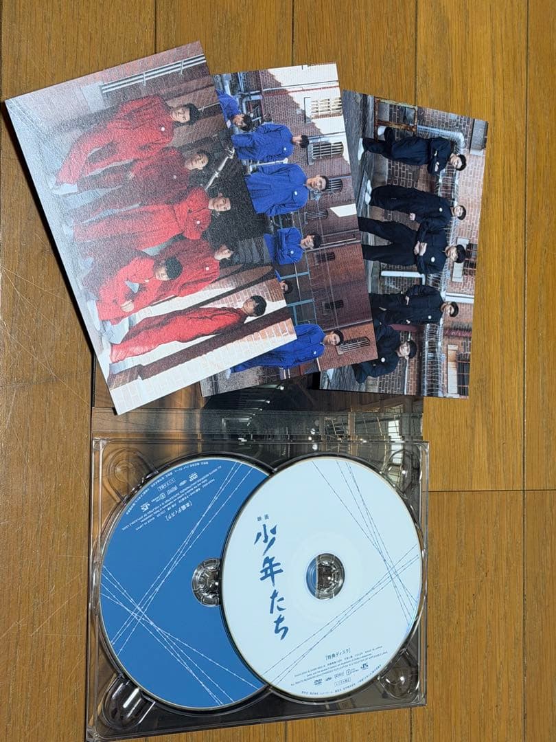 少年たち DVD 2枚組 特典クリアファイル付き