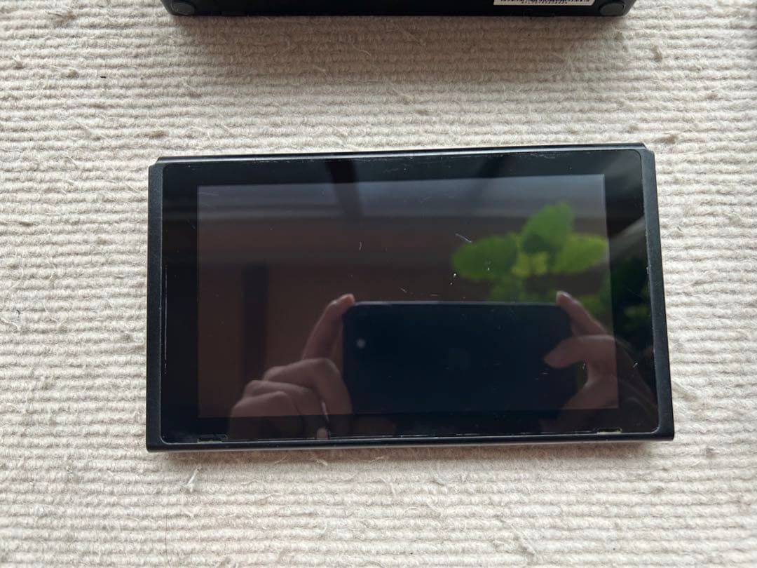 Switch本体+ドッグセット