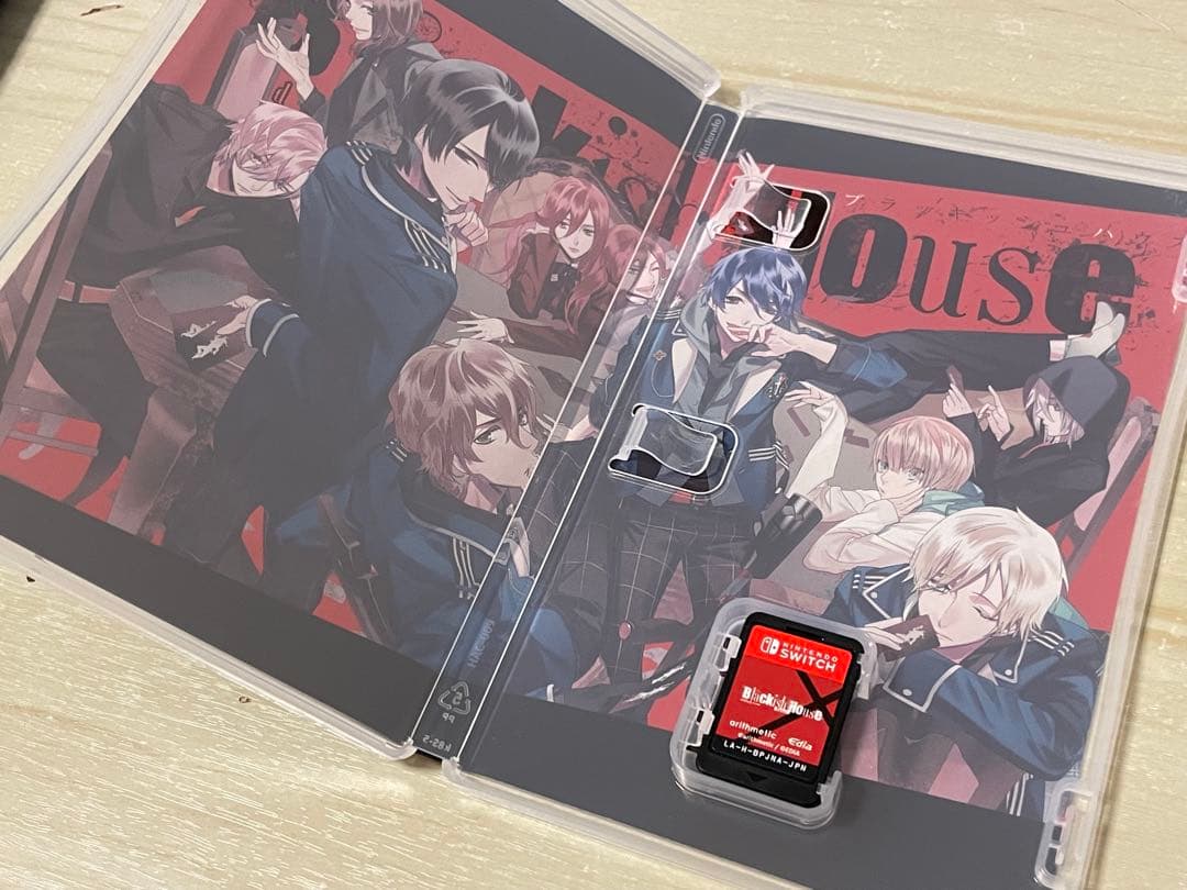 Nintendo Switch Blackish House SideA
