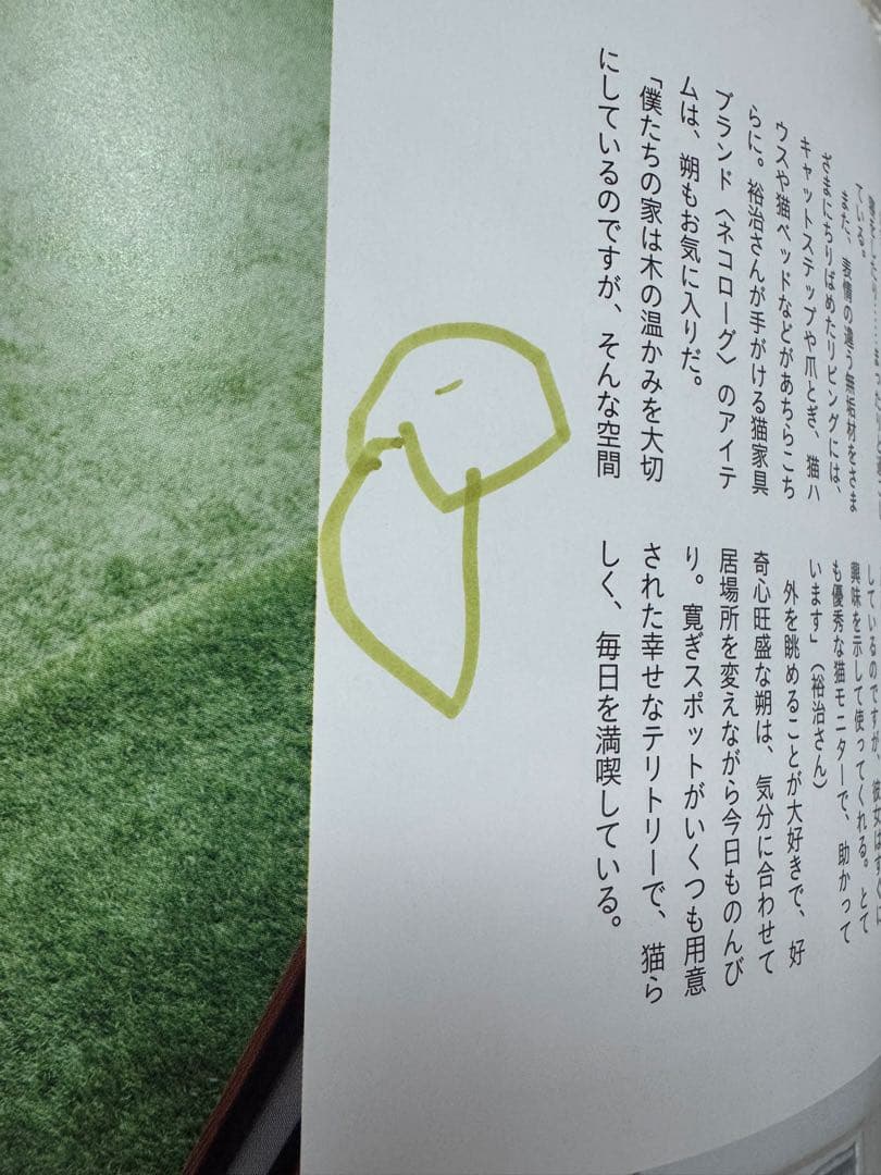 猫本確認