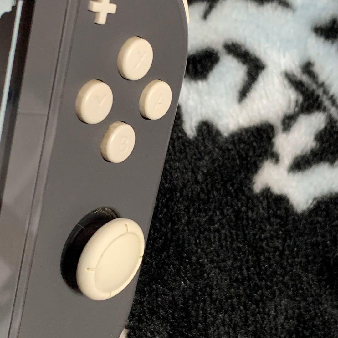 【ジャンク】Nintendo Switch Lite グレー 画面ひびあり