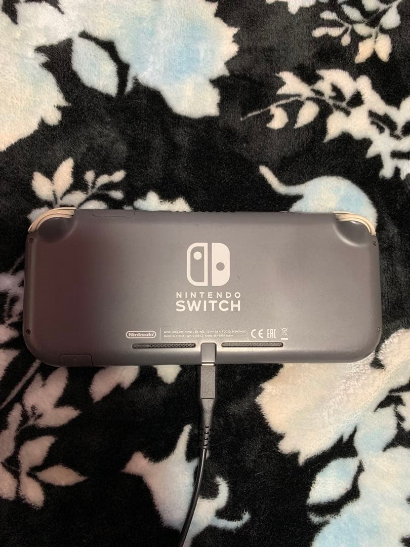 【ジャンク】Nintendo Switch Lite グレー 画面ひびあり