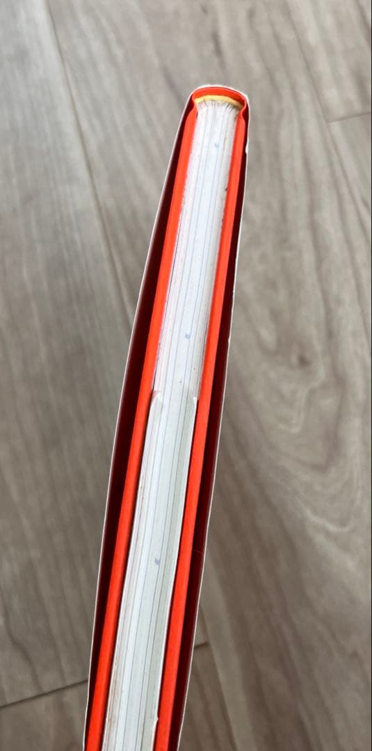 ZWARTE BEERTJES ディック・ブルーナ装丁の仕事　2冊セット
