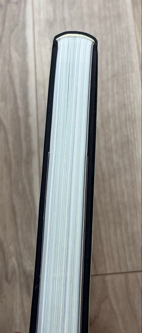 ZWARTE BEERTJES ディック・ブルーナ装丁の仕事　2冊セット