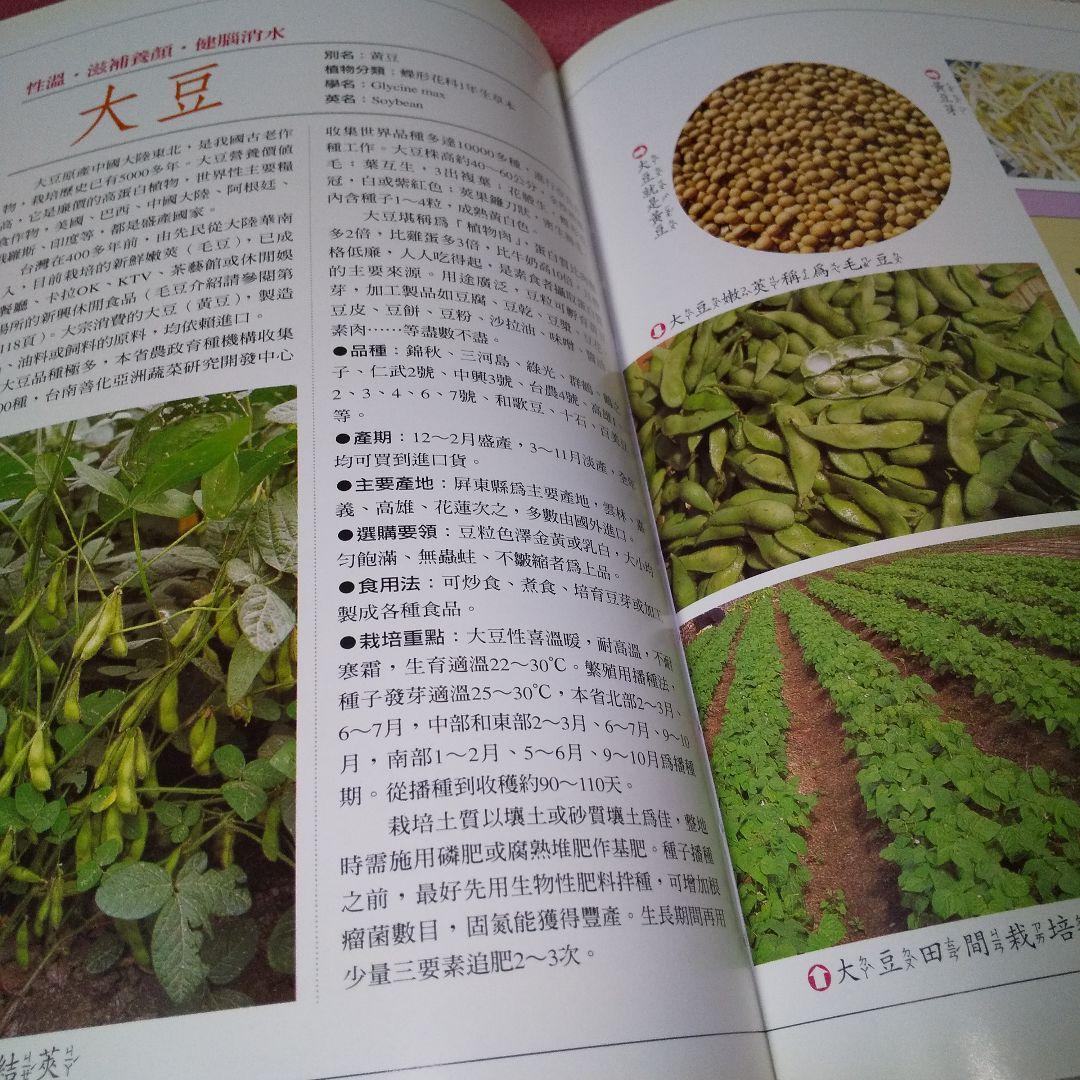 『家庭園藝 台灣蔬果實用百科』 精緻版 ①② 計２冊 薛聰賢 台灣普綠出版部