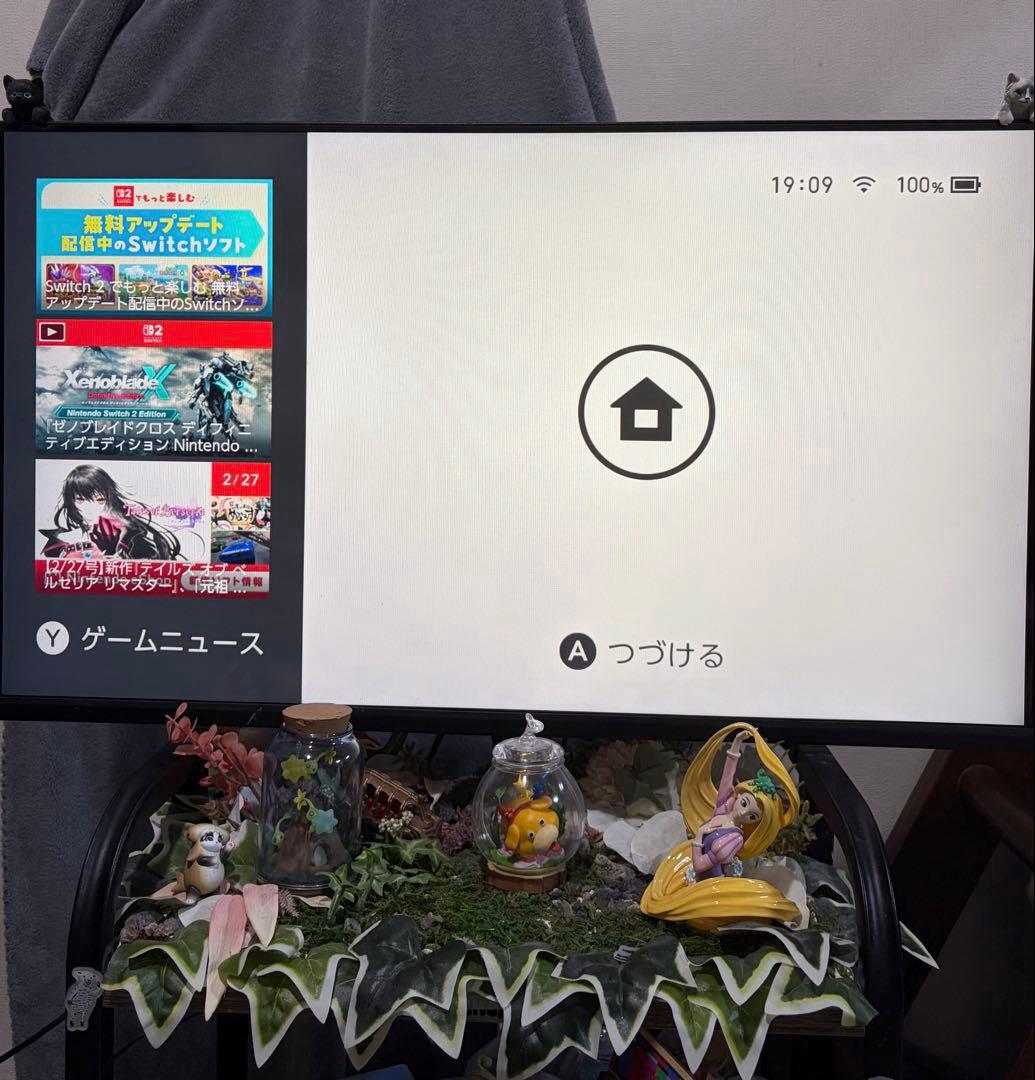 Nintendo Switch あつ森デザイン　強化バッテリー　SDカード付き
