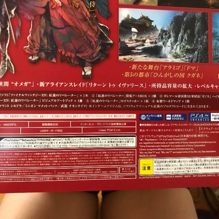 ff14 紅蓮のリベレーター 特別版