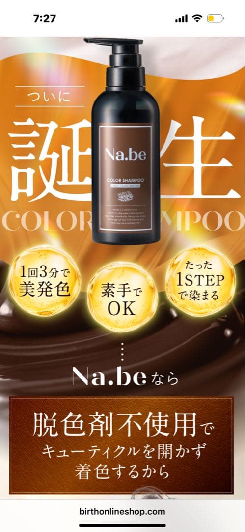 Na.be カラーシャンプー 250ml + 300ml2袋