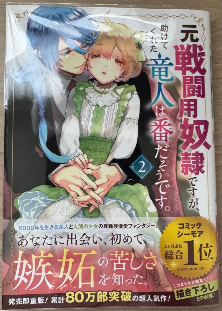みぃー★ 元戦闘用奴隷ですが、助けてくれた竜人は番だそうです。 他