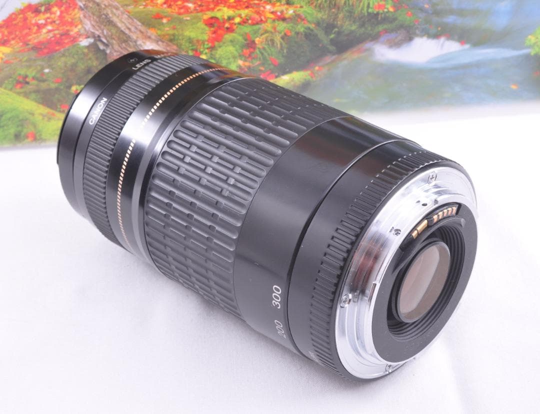 レンズが残す絆！ Canon キヤノン EF75-300mm 望遠レンズ